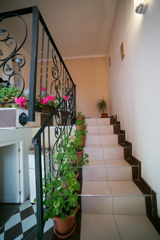 Pensiunea Bella Arad Exterior foto